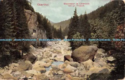 R428906 Okerthal Steinmeer im Okerbett mit gr Frosch 1910