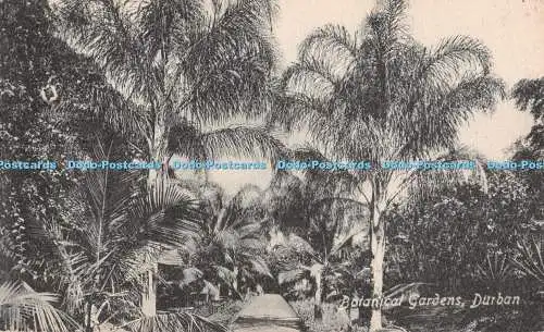 R429220 Botanischer Garten Durban