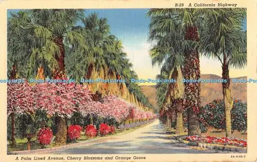 R430691 R 29 California Highway A Palm Lined Avenue Cherry Blossoms and Orange G