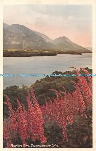 R431448 Foxglove Time Bassenthwaite Lake G P Abraham