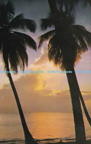 R433032 BB59 Sunset Barbados West Indies Wayfarer Bookstore Limited Barbados Let