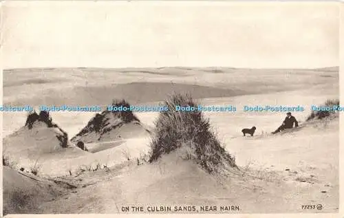 R435923 On the Culbin Sands near Nairn G Strachan 1929