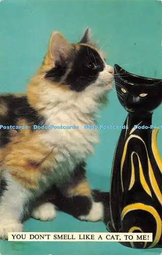 R434493 Für mich riecht man nicht wie eine Katze G 351 Animal Series Bamforth 1978