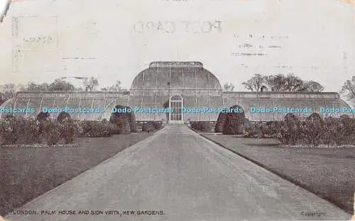 R434584 London Palm House and Sion Vista Kew Gardens The Star Series G D and D 1