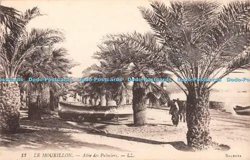 R436213 Le Mourillon Allee des Palmiers LL 13 Selecta Levy Fils