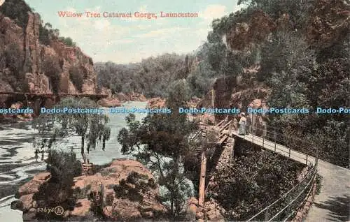 R436381 Launceston Willow Tree Cataract Gorge Valentines Serie
