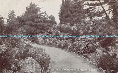 R435103 London Kew Gardens The Rockery G D and D The Star Series 1907