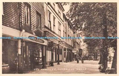 R436699 Tunbridge Wells The Pantiles Valentine Sepiatype