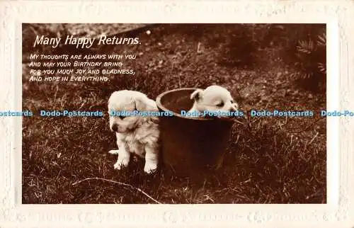 R441338 Viele Happy Retouren Meine Gedanken sind immer bei euch Welpen Hunde 1927 RP