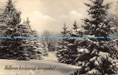 R439002 Kellemes karacsonyi unnepeket Postkarte