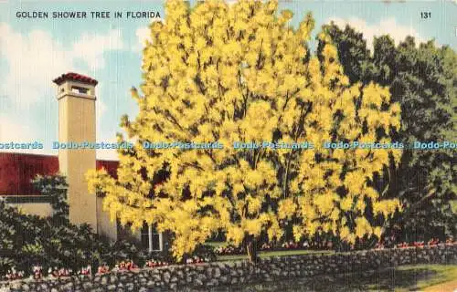 R435544 Golden Shower Tree in Florida G W Romer A Colourpicture