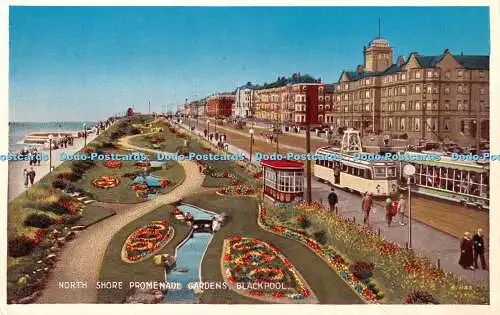 R437282 Blackpool North Shore Promenade Gardens Valentine De Luxe Farbe 1958