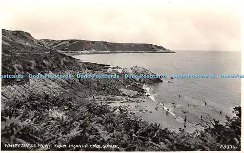 R437306 Gower Whiteshell Point aus Brandy Cove Zenith Serie RP