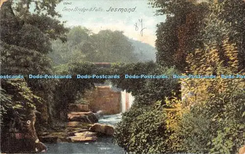 R439598 Jesmond Dene Bridge and Falls The Wrench Series Nr 11847 1905