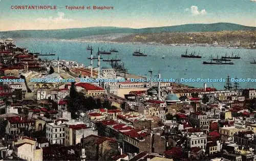 R442006 Constantinople Tophane et Bosphore