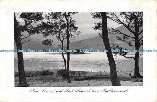 R439629 Ben Lomond und Loch Lomond aus Inchtavannach D und S K Ideal Serie 194