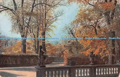 R442265 Autumn Park Bridge C W Faulkner Serie 1224