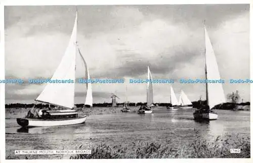R442372 Norfolk Broads At Thurne Mouth J Salmon Photostyle 1961