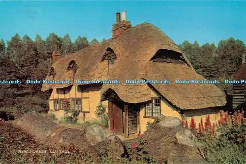 R440120 A New Forest Cottage Salmon