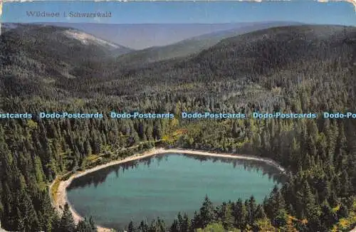 R438260 Wildsee i Schwarzwald Gebr Metz 1914