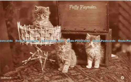 R440506 Flyffy Playmates Rotary Photo Rajar Bromide Card 1931