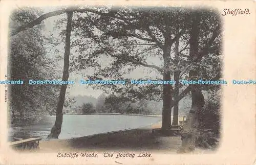 R443189 Sheffield Endcliffe Woods The Boating Lake A and K