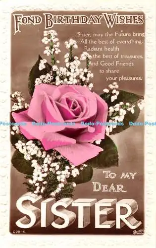 R443440 Schöne Geburtstagswünsche an meine liebe Schwester Rose J Beagles