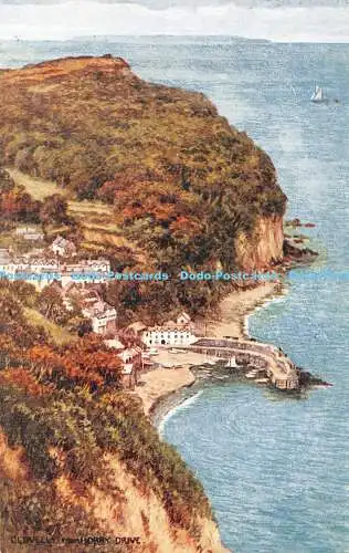 R443724 Clovelly von Hobby Drive Salmon 4170