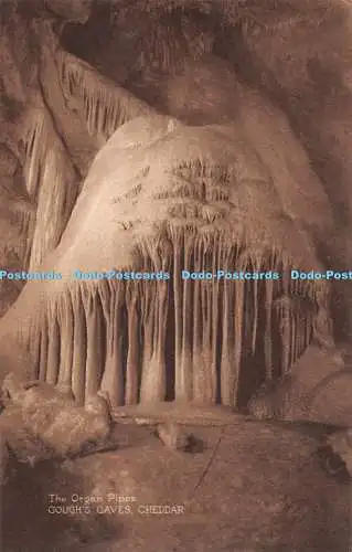 R444146 The Organ Pipes Goughs Caves Cheddar Goughs Caves Cheddar Electrically I