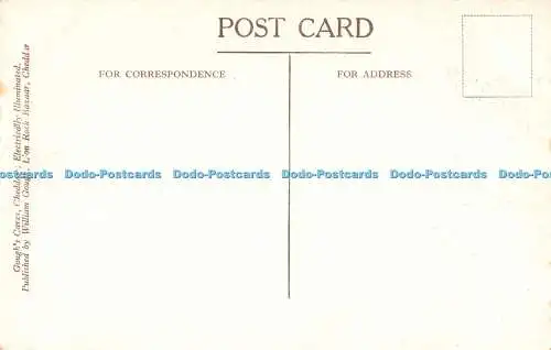 R444146 The Organ Pipes Goughs Caves Cheddar Goughs Caves Cheddar Electrically I