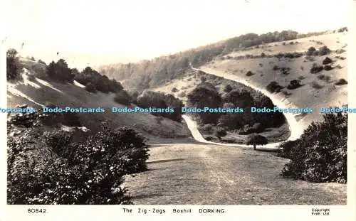 R446869 Dorking Boxhill The Zig Zags F Frith