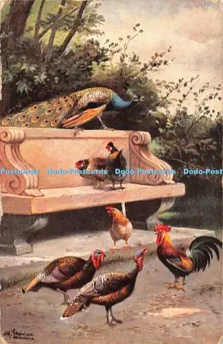 R449651 Birds Ernest Nister London Serie 152 E P Dutton New York 1917