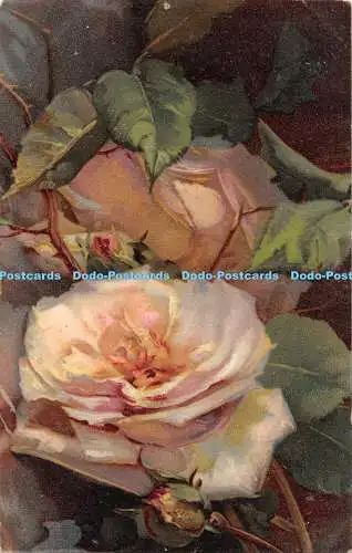 R449728 Rosen Gemälde Die beliebte Serie 104 1905 Postkarte