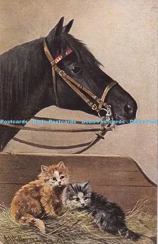 R449741 Pferd und Kätzchen Katzen Ein Müller Gemälde S Hildesheimer Nr 5262 Postkarte