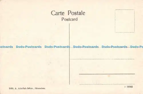 R449830 Haiffa Vue generale General View Panorama Gesamtansicht A Attallah frere