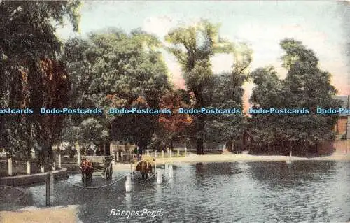 R446123 Barnes Pond Rush and Warwick