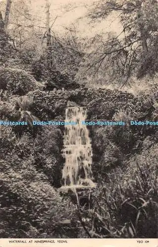 R451914 Yeovil Wasserfall bei Ninesprings Jarrold 1958
