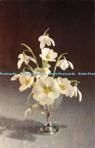 Postkarte R451943 Weiße Blumen