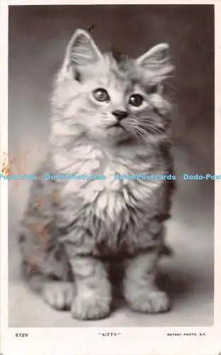 R452462 Kitty Rotary Photographic Series