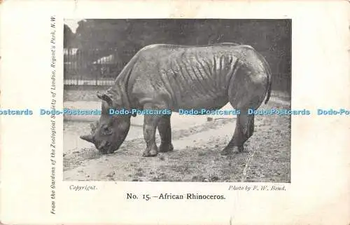 R453959 Afrikanisches Nashorn Nr 15 Foto von F W Bond aus den Gärten des Zoolo