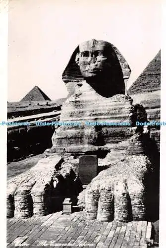 R454002 Cairo The Excavated Sphinx Lehnert and Landrock K Lambelet