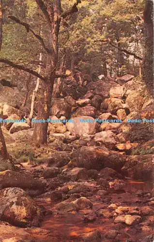 R450781 Becky Falls The National Park of Dartmoor Plastichrome von Colourpicture