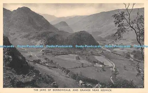 R454074 Die Kiefer von Borrowdale und Grange bei Keswick G P Abraham