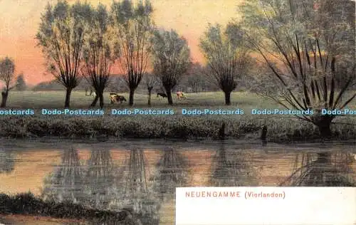 R448858 Neuengamme Vierlanden Dr Trenkler 1904 25195