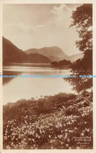 R450913 Wordsworth Narzissen auf Ullswater G P Abraham RP