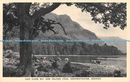 R454259 Keswick Derwentwater Calf Close Bay and Falcon Crag G P Abraham