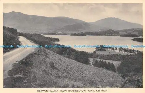 R454261 Keswick Derwentwater aus Brandelhow Park G P Abraham