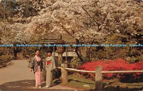 R452844 Japan Park Smith News Mirro Krome H S Crocker 1967