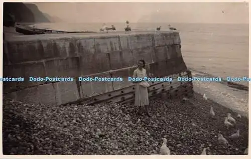 R453107 Unbekannter Ort Möwen Frau Strand alte Fotografie Postkarte