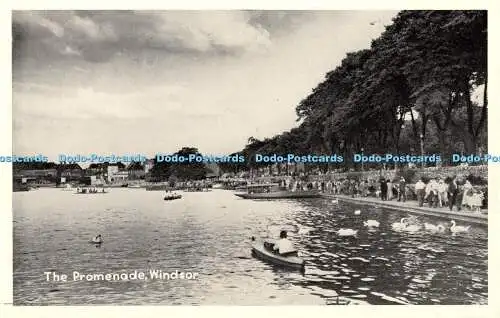 R453197 The Promenade Windsor T V A P Oxford Serie XXVIII 1246